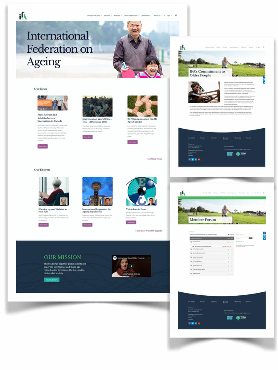 Ifa Website Screen Shots