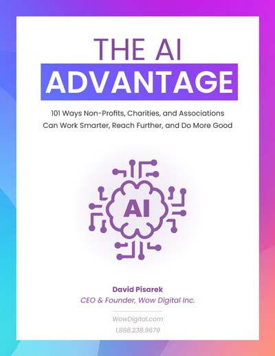 The Ai Advantage By David Pisarek